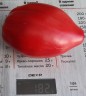 Томат Гном Головорез цв.п 10шт Медведев