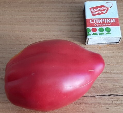 Томат Гном Головорез цв.п 10шт Медведев