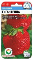 Земляника Гигантелла цв.п 10шт Сибирский Сад