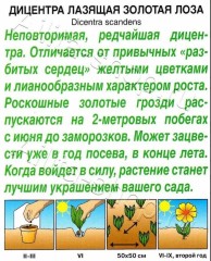 Дицентра Золотая Лоза цв.п 5шт Аэлита