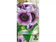 Глоксиния Харизма Лавандовая цв.п. 5шт Поиск