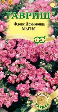 Флокс Друммонда Магия цв.п 8шт Гавриш