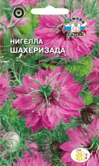 Нигелла Шахеризада цв.п 1гр СеДек