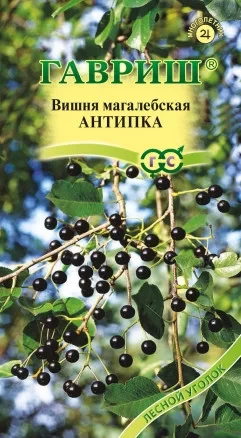 Вишня магалебская Антипка цв.п 1гр Гавриш