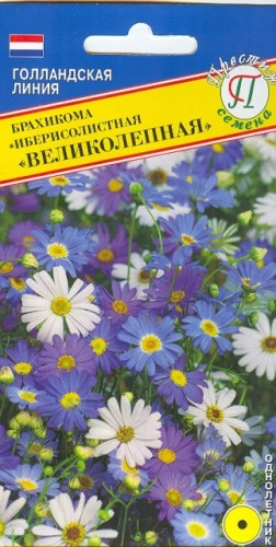 Брахикома Великолепная цв.п 0,05гр. Престиж