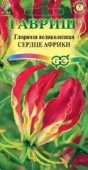 Глориоза великолепная Сердце Африки цв.п 3шт Гавриш