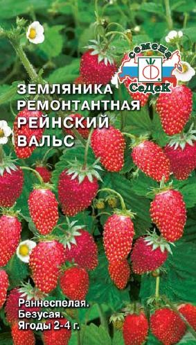 Земляника Рейнский Вальс цв.п 0,04г СеДек