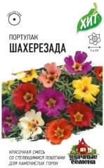 Портулак Шахерезада цв.п 0,1гр Удачные Семена