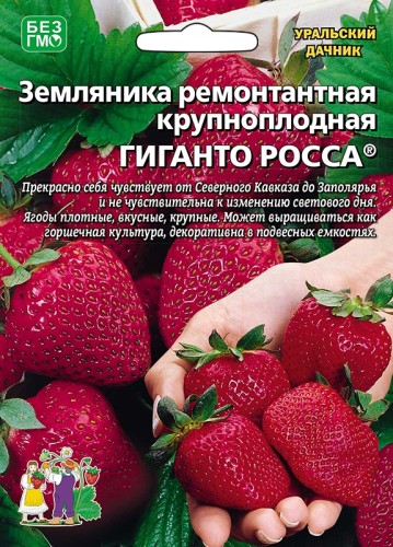 Земляника Гиганто Росса ремонтантная крупноплодная цв.п 10шт Уральский Дачник