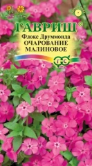 Флокс Друммонда Очарование Малиновое цв.п 0.05гр Гавриш