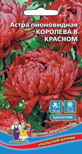 Астра Королева В Красном цв.п 0,2гр Уральский Дачник