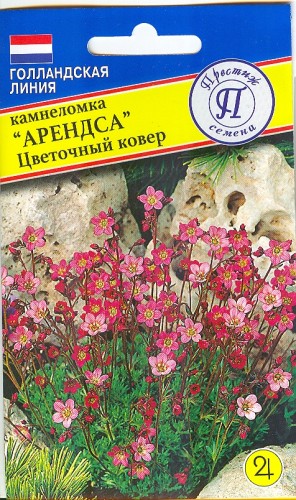 Камнеломка  Арендса Цветочный Ковёр цв.п 0,01гр Престиж