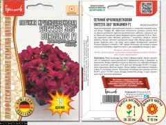 Петуния SUCCESS 360° Burgundy крупноцветковая цв.п 15шт ИП Григорьев