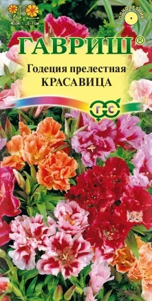 Годеция Прелестная Красавица цв.п 0,3гр Гавриш