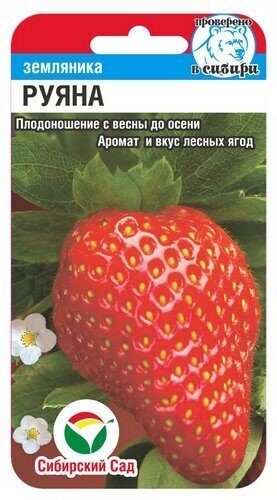 Земляника Руяна цв.п 10шт Сибирский Сад