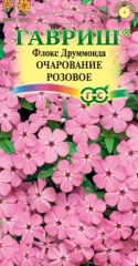 Флокс Друммонда Очарование Розовое цв.п 0.05гр Гавриш