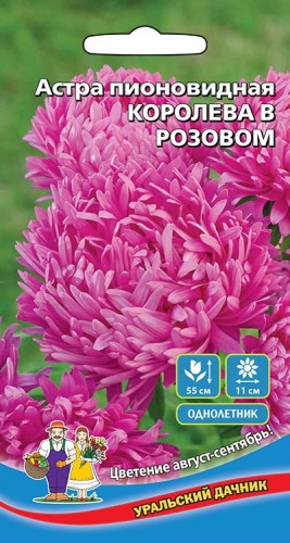 Астра Королева В Розовом цв.п 0,2гр Уральский Дачник