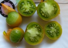Томат Зелёный Мёд реликтовый цв.п 10шт Наш Сад