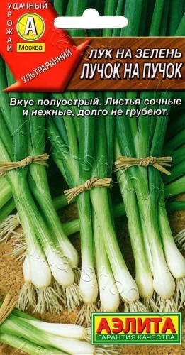 Лук на зелень Лучок На Пучок цв.п 0,5гр Аэлита