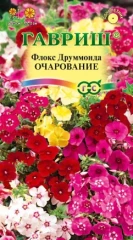 Флокс Друммонда Очарование смесь цв.п 0.05гр Гавриш