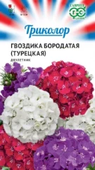 Гвоздика бородатая Триколор цв.п 0,6гр Гавриш
