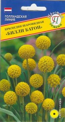 Краспедия шаровид. Билли Батон цв.п 10шт. Престиж