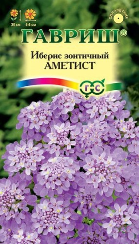 Иберис Аметист цв.п 0,2гр Гавриш