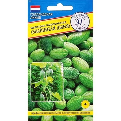 Мелотрия шероховатая цв.п 10шт Престиж