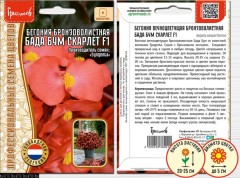 Бегония Бада Бум Скарлет F1 бронзоволистная цв.п 7шт ИП Григорьев