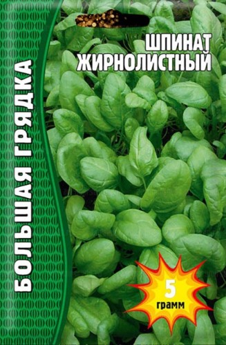 Шпинат Жирнолистный цв.п 5гр ИП Григорьев