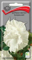 Дурман Балерина Вайт цв.п 3шт Поиск
