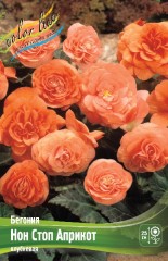 Бегония Нон Стоп Априкот клубневая Colorline