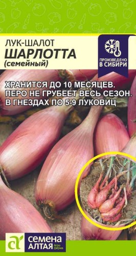 Лук шалот Шарлотта цв.п 0,3гр Семена Алтая