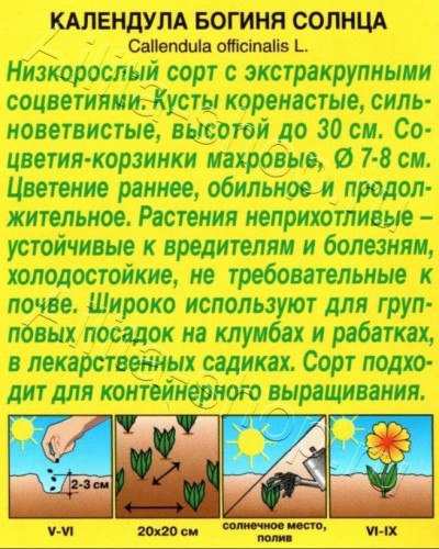 Календула Богиня Солнца цв.п 0,3гр Аэлита
