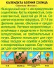 Календула Богиня Солнца цв.п 0,3гр Аэлита