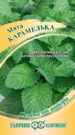 Мята Карамелька овощная цв.п 0,05гр, Гавриш