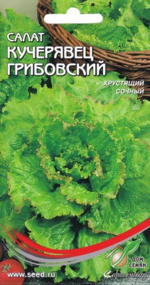 Салат Кучерявец Грибовский цв.п 510шт Сортсемовощ