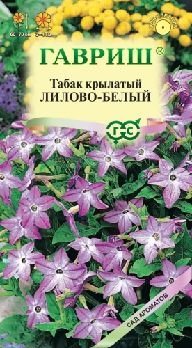 Табак душистый Лилово-белый цв.п 0,05гр Гавриш
