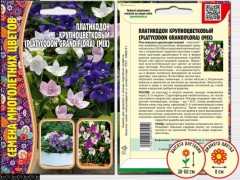 Платикодон Grandiflora крупноцветковый цв.п 25шт ИП Григорьев