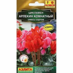 Цикламен персидский Арлекин цв.п 3шт Аэлита