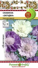 Скабиоза Загадка цв.п 0,15гр НК Русский Огород