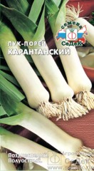 Лук порей Карантанский цв.п 1гр СеДек