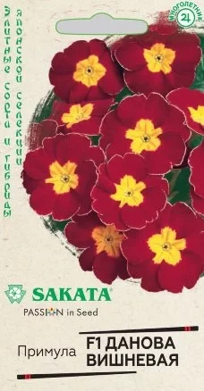 Примула Данова Вишнёвая F1 цв.п 5шт SAKATA Гавриш