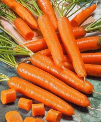 Морковь лента Самсон цв.п 8м Аэлита
