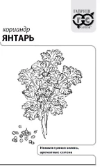 Кориандр Янтарь бел.п 1гр Гавриш