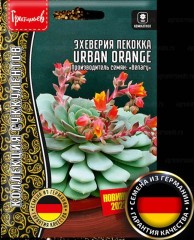 Эхеверия Urban Orange пекокка цв.п 5шт ИП Григорьев