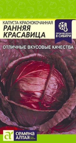 Капуста краснокочанная Ранняя Красавица цв.п 0,3гр Семена Алтая