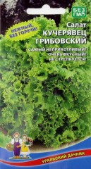 Салат Кучерявец Грибовский цв.п 0,25гр Уральский Дачник