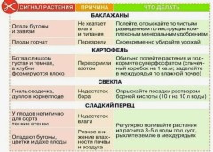 Борная кислота 10гр Домен