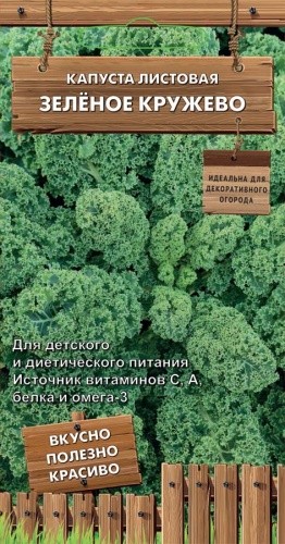 Капуста листовая Зелёное Кружево цв.п 0,1гр Поиск
